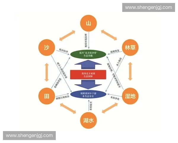 基于体育指标体系的全面分析与构建路径研究