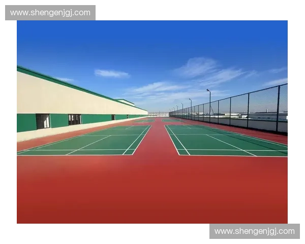 体育场馆建设的创新发展与未来趋势探讨从规划设计到运营管理全流程分析